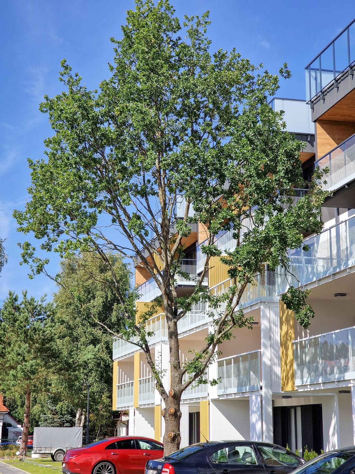 Posesja Apartamenty & Spa - Posesja Plazowa 4A II Гжибово Екстер'єр фото